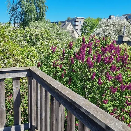 Garden View *