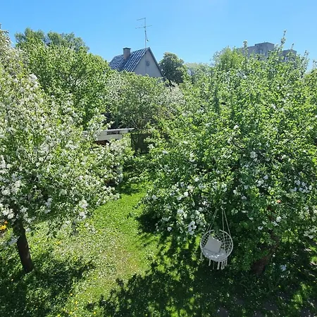 Garden View شقة *